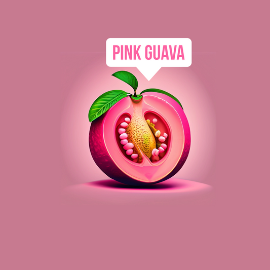 Pink Guava 6 Pack Lollipops